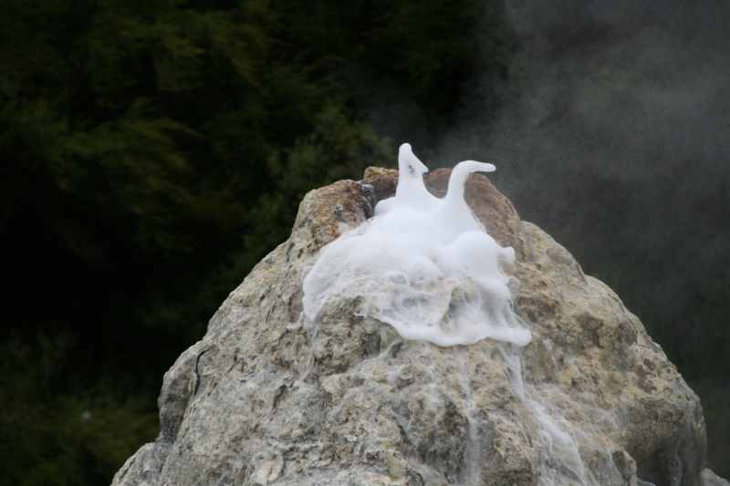 Nieuw-Zeeland 2011 - 0669